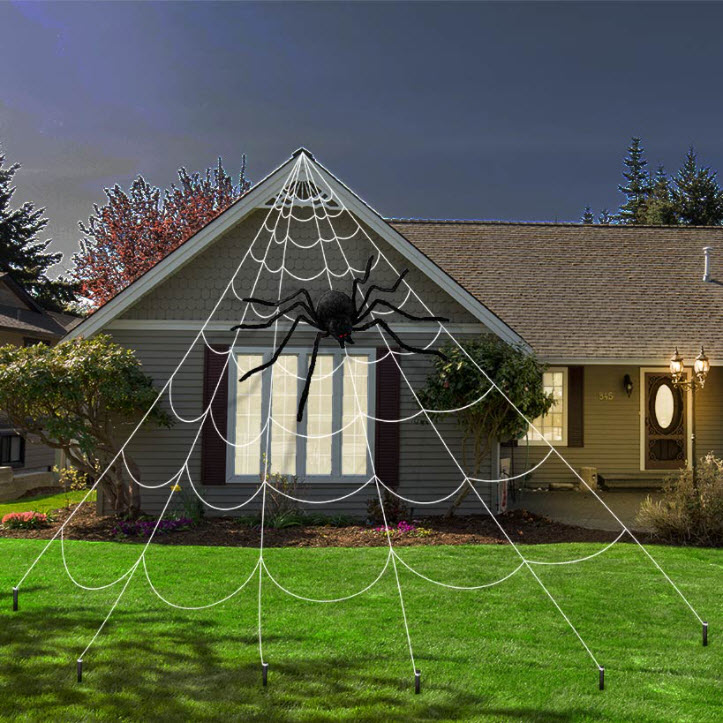 Oversized Spiders & Spiderweb